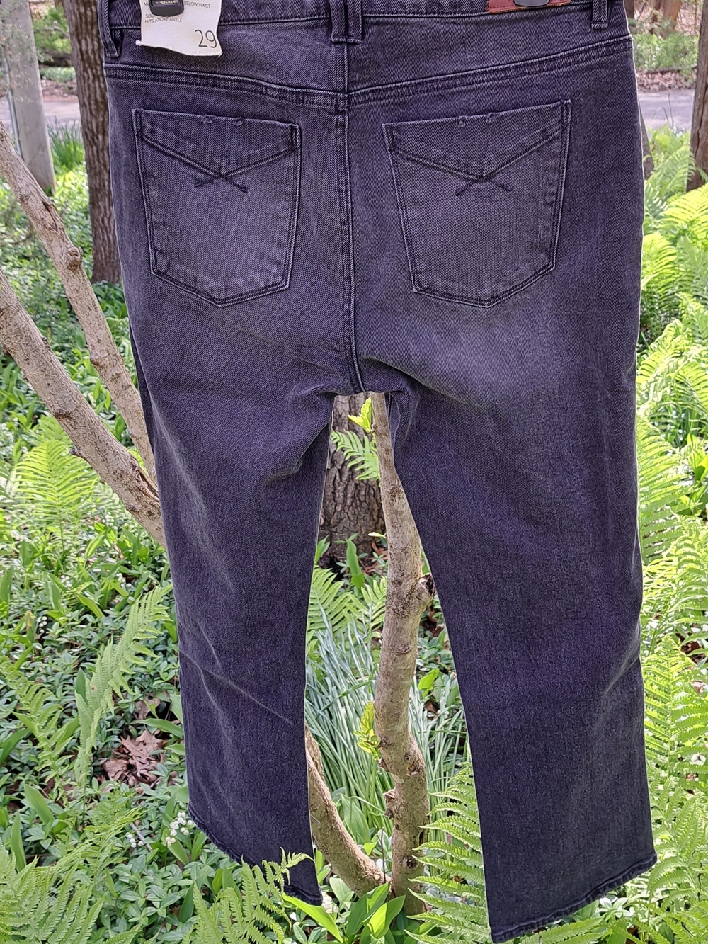 3 Pair Of Jeans..Unpubished NWT..EVEREVE Size 28..Calvin Klein Size 28